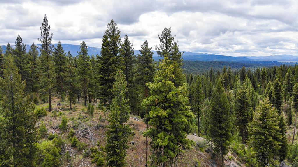 Cascade ID Real Estate