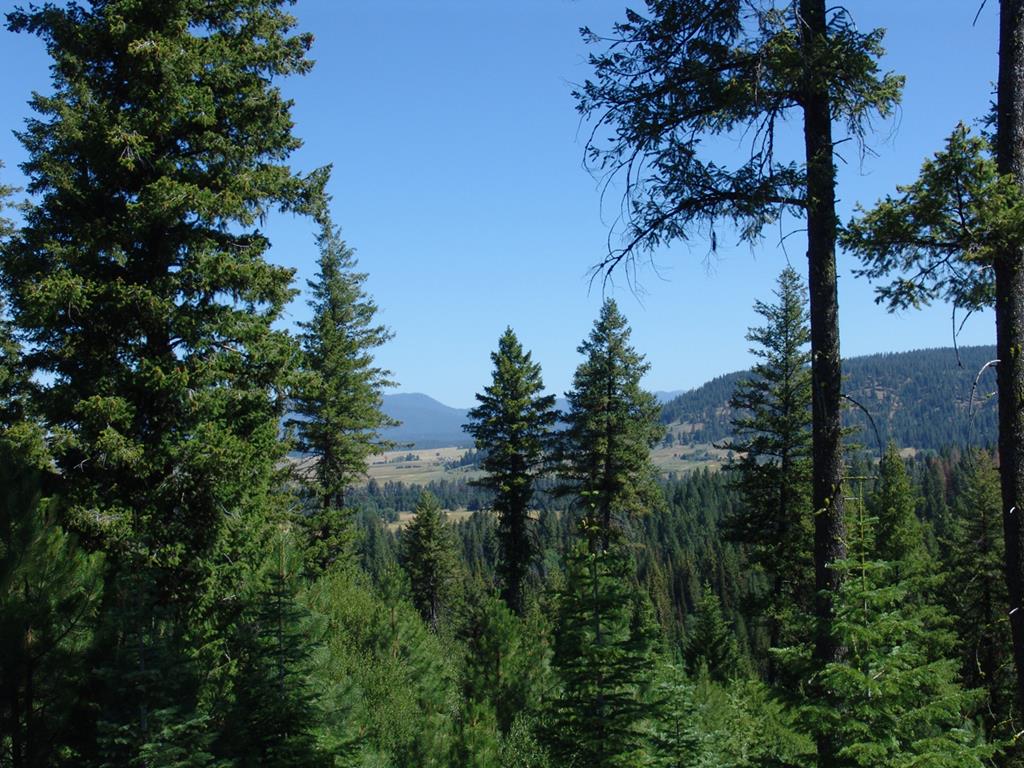 Cascade ID Real Estate