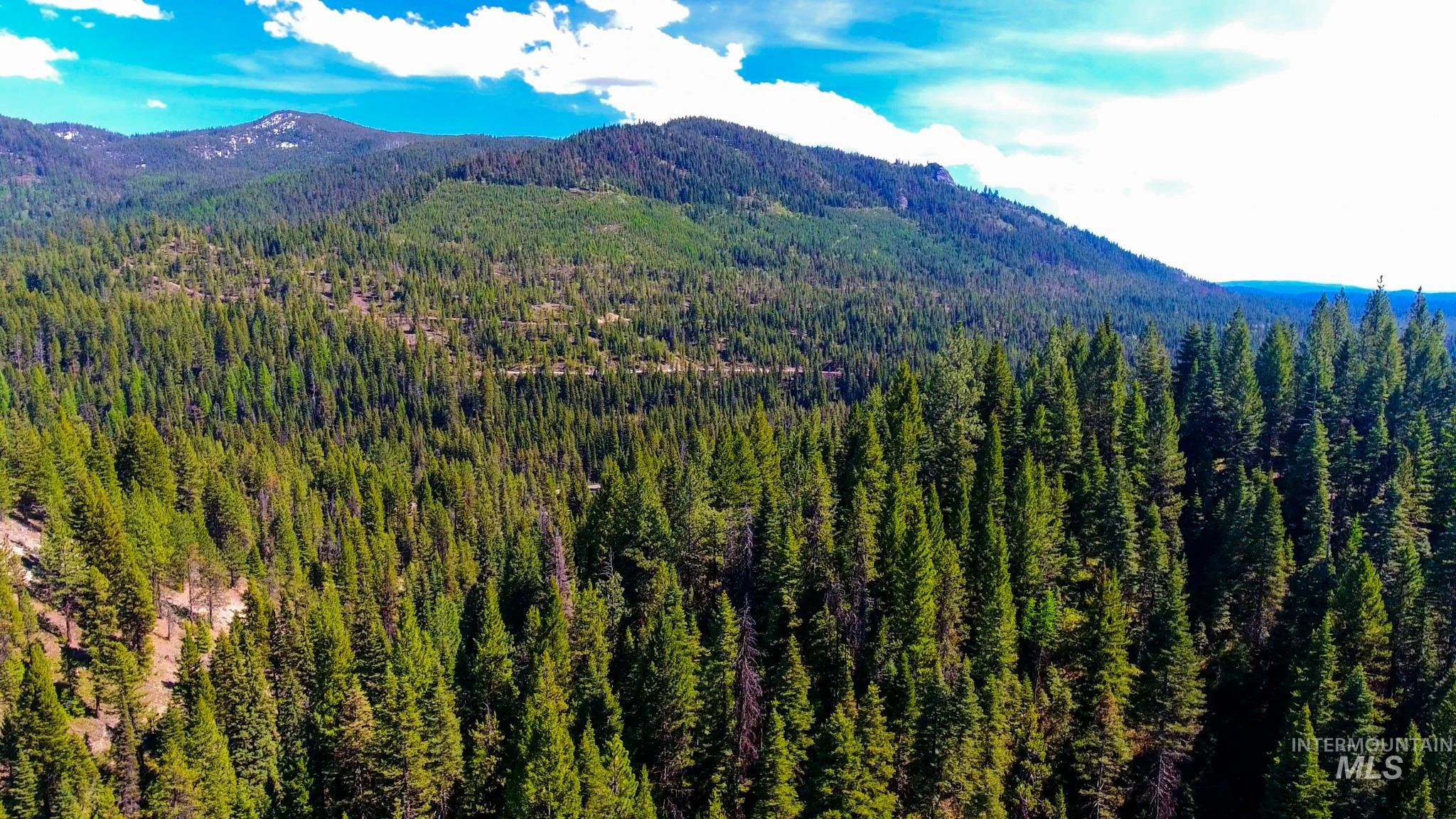 Cascade ID Real Estate