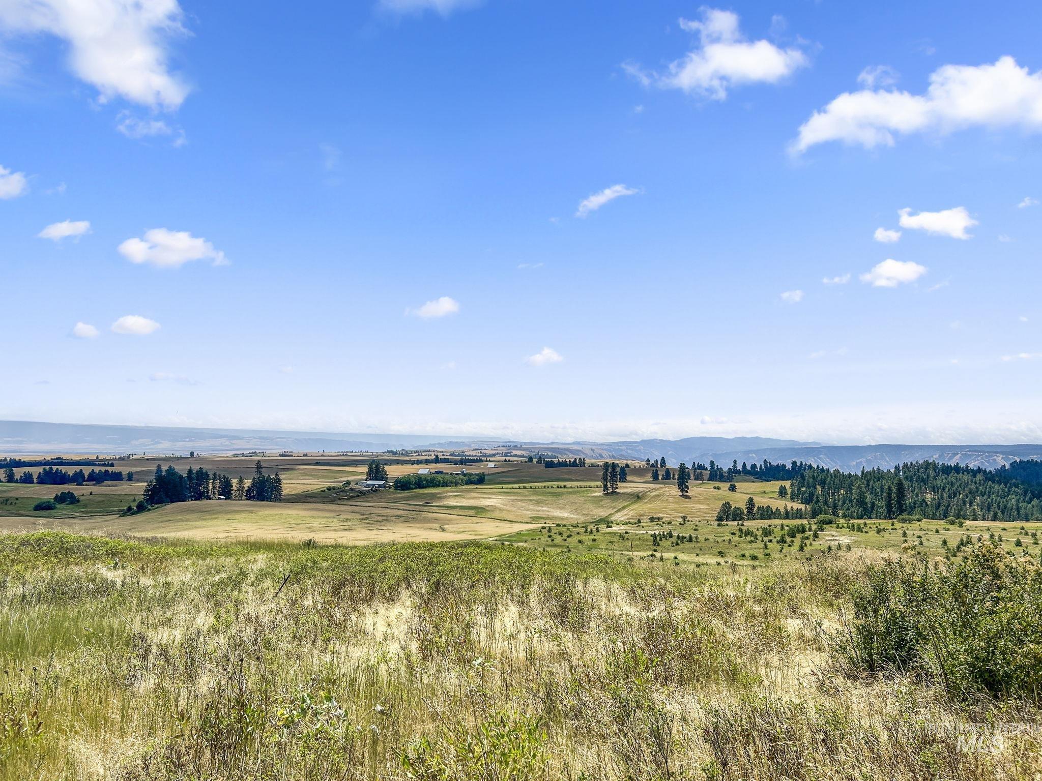 CottonWood ID Real Estate
