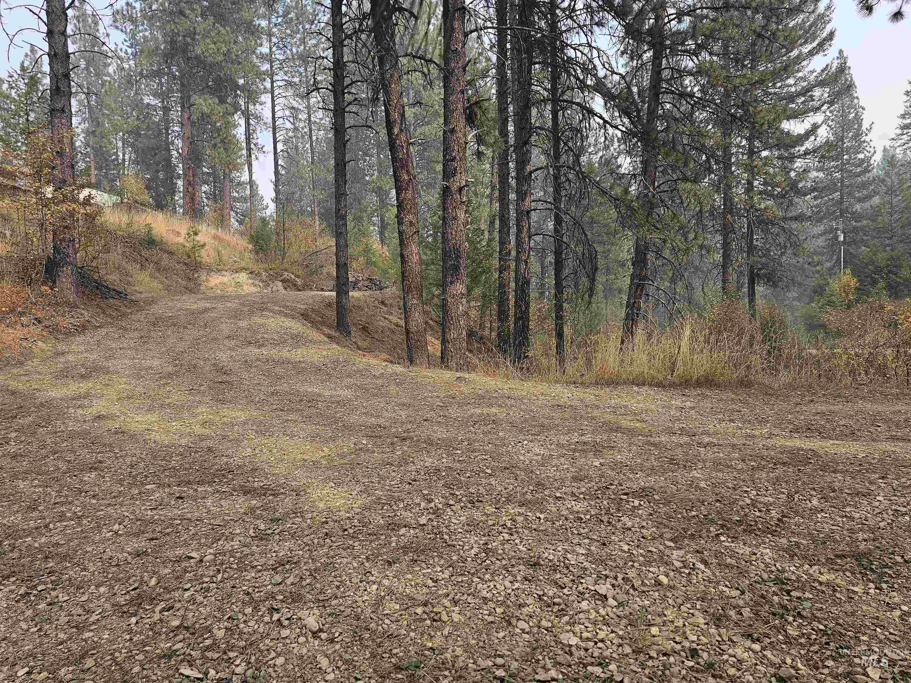 TBD Lot 53 Castle Mountain Dr Garden Valley