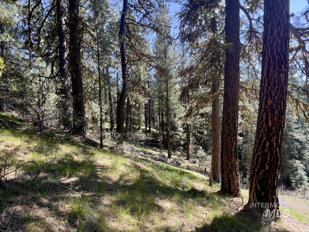 High Valley ID Real Estate