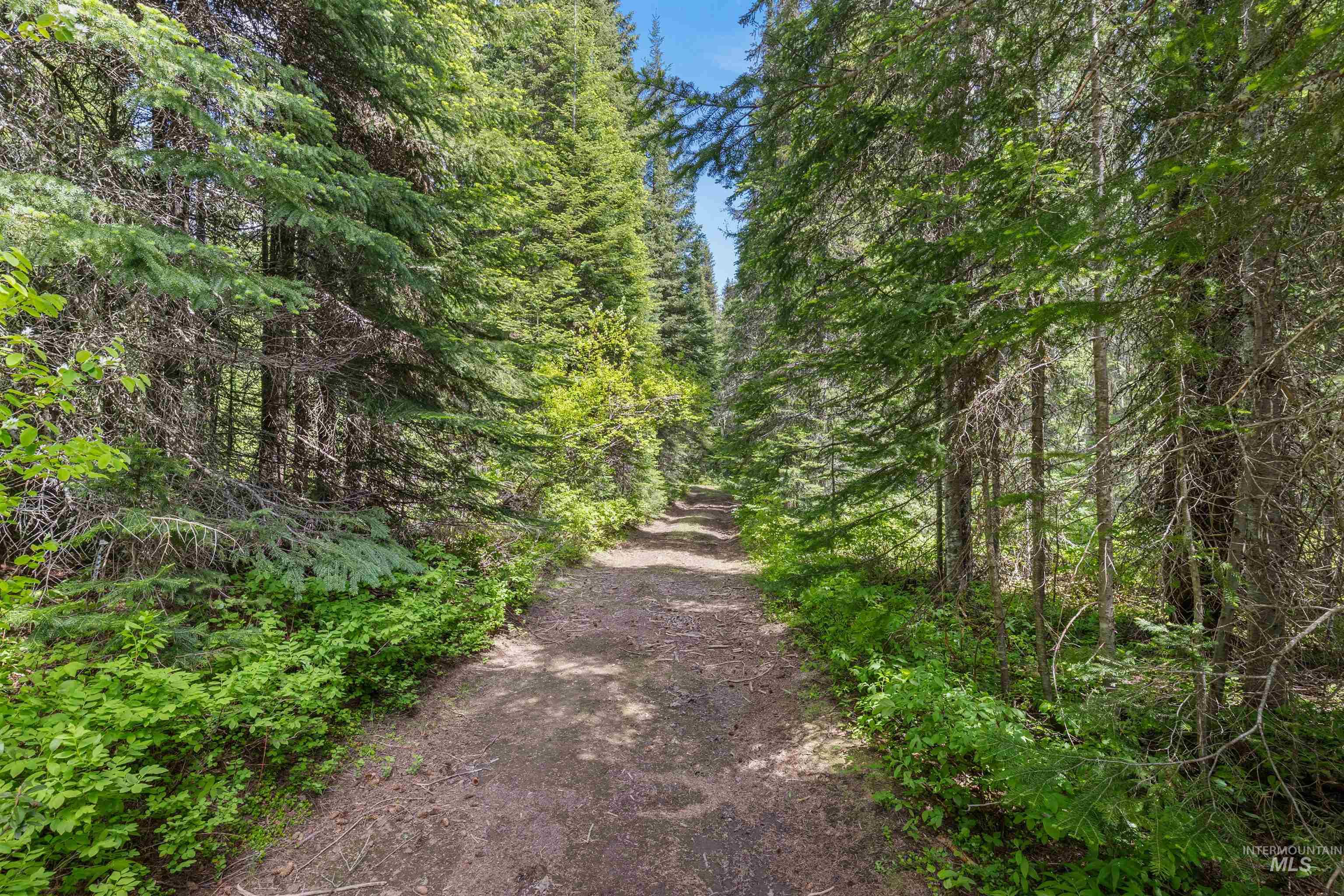 Elk River ID Real Estate
