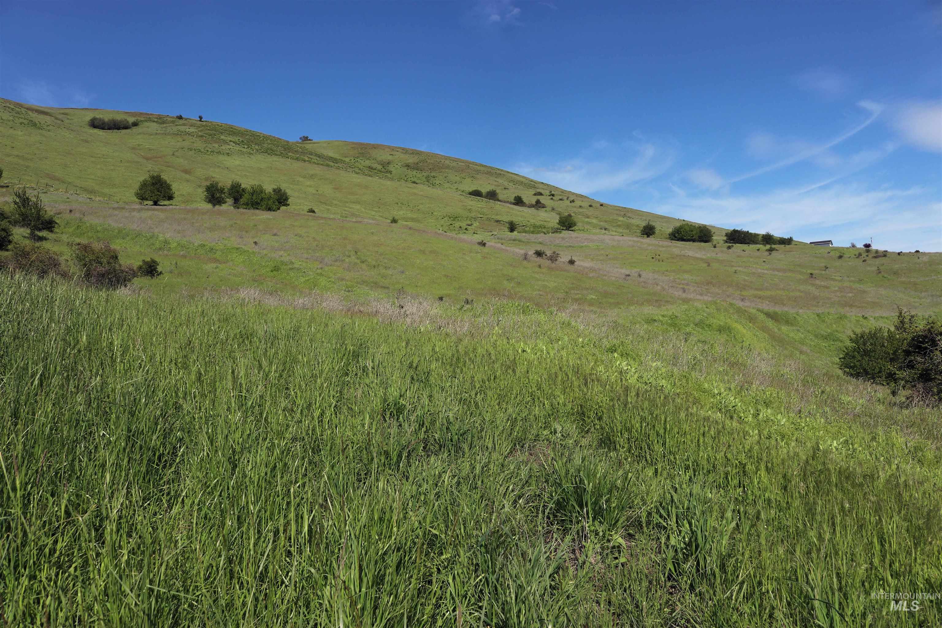 Lenore ID Real Estate