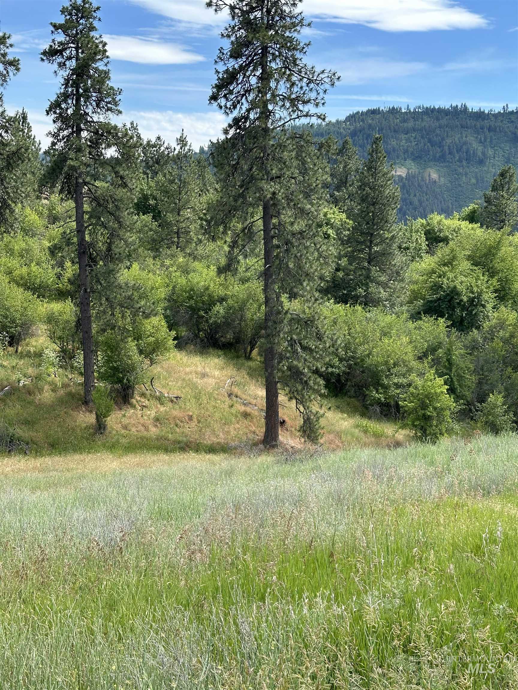 Lenore ID Real Estate