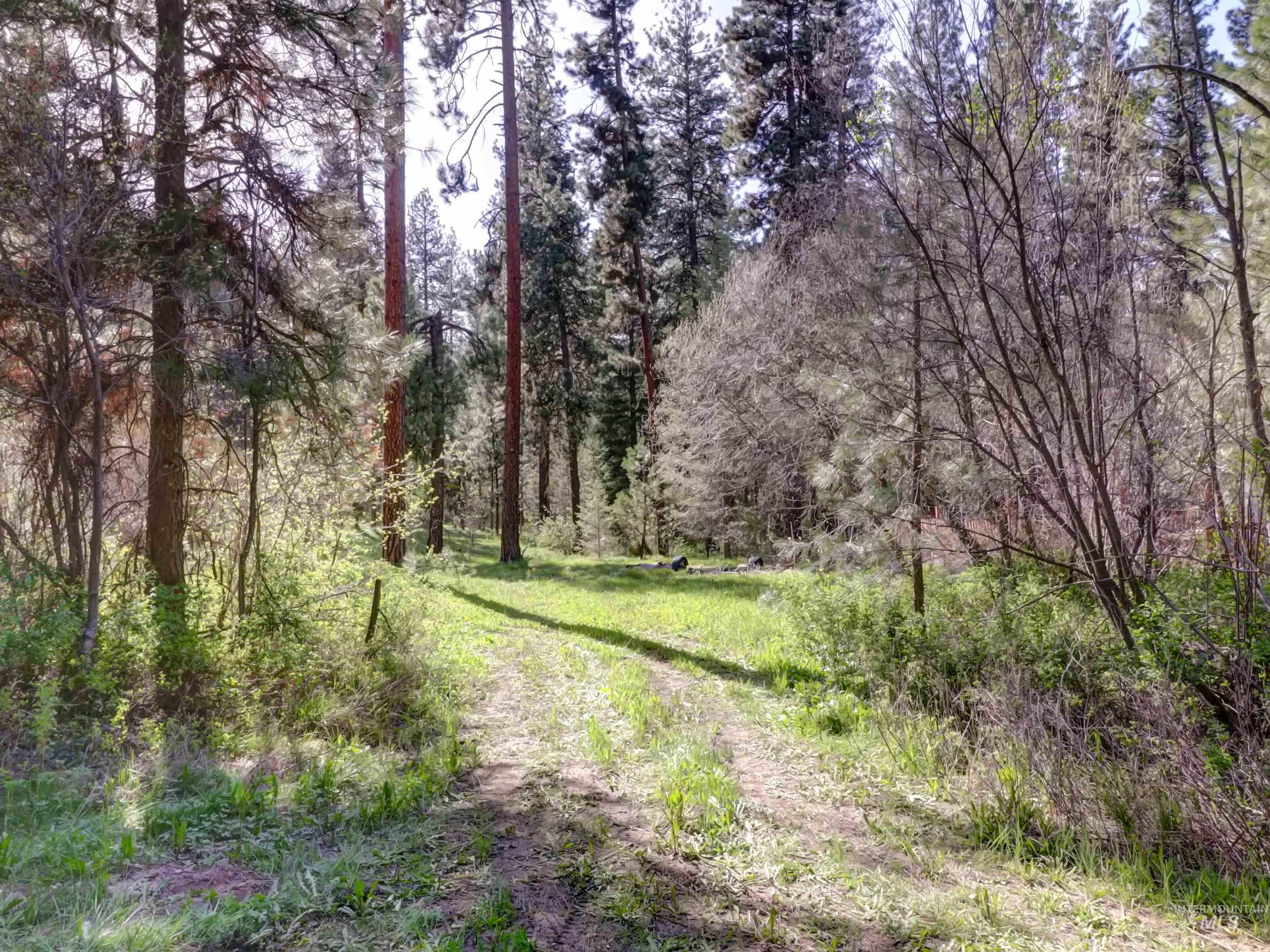Boise ID Real Estate
