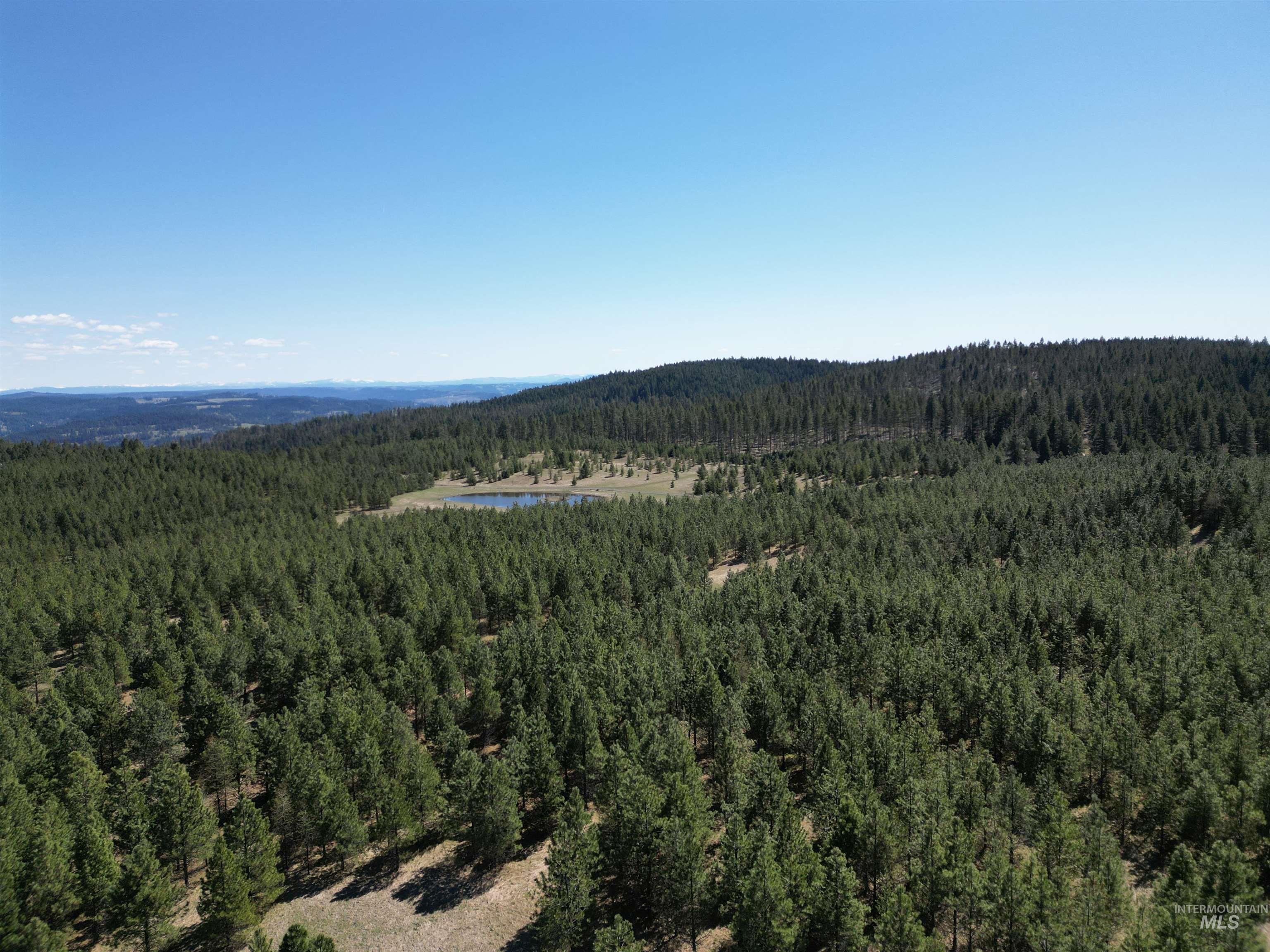 Lenore ID Real Estate
