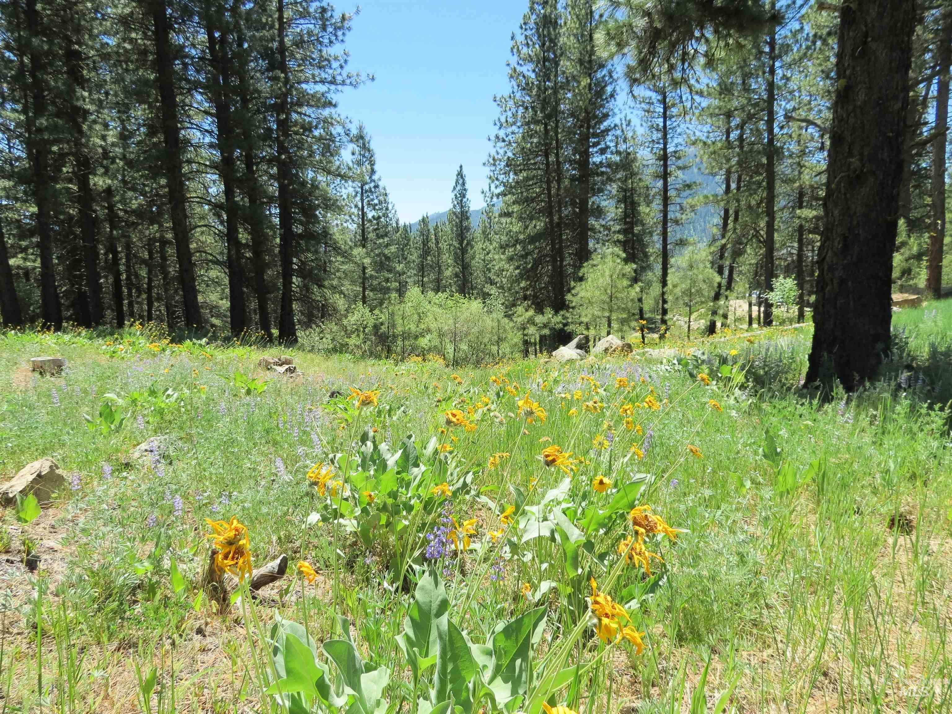 Garden Valley ID Real Estate